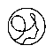 logo_pettiluci-removebg-preview